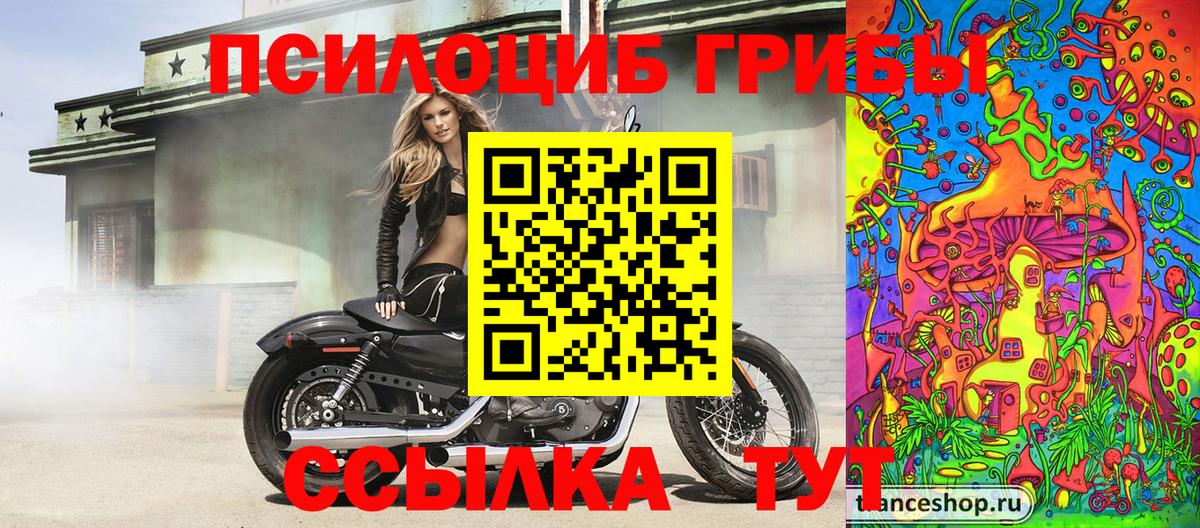 Ахтубинск  купить закладку  Вход с VPN  Псилоцибиновые грибы мицелий 